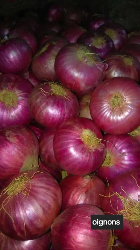 Oignon