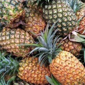 Ananas