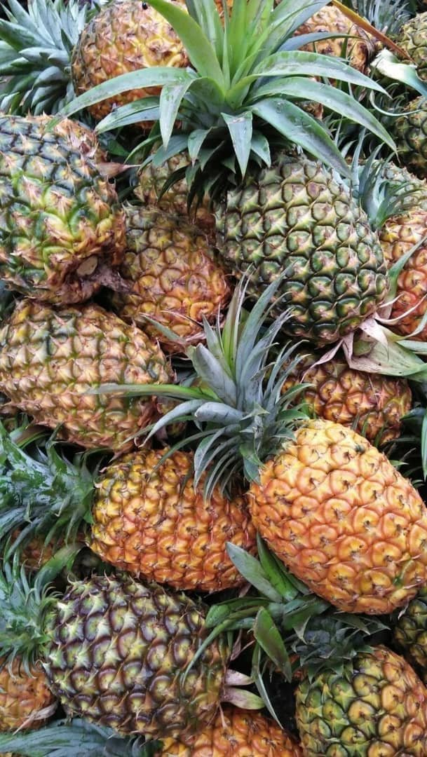 Ananas