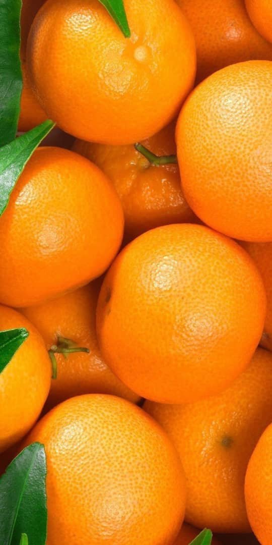 Clémentine ou Mandarine