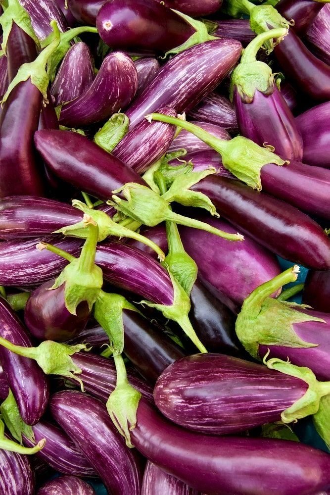 Aubergine